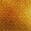 Golden Pirate Coins 6985 - Image 2