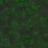Green Glowing Rock 6949 - Image 4