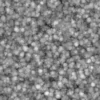 Messy Guts 6941 - Image 6