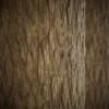 Oak Bark With Moss 6857 - Image 2