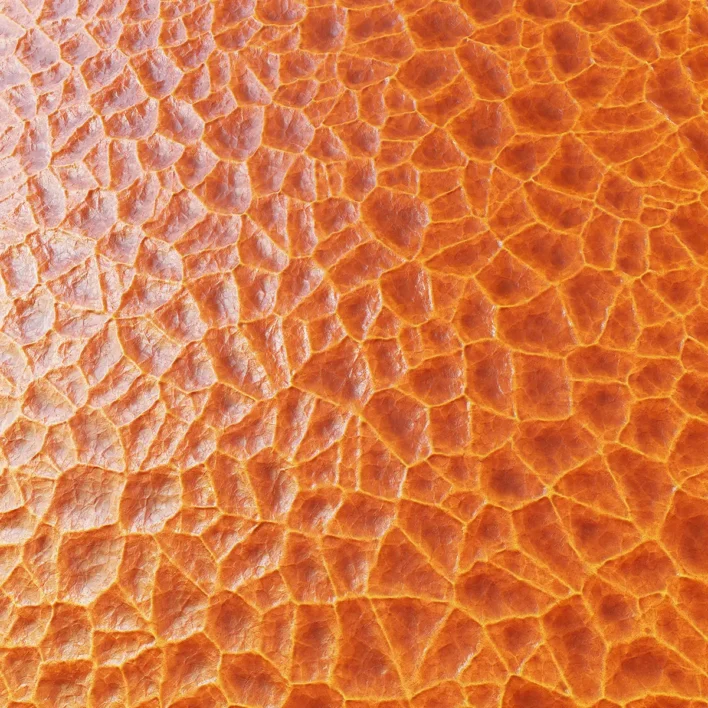 Orange Membrane Skin PBR Texture