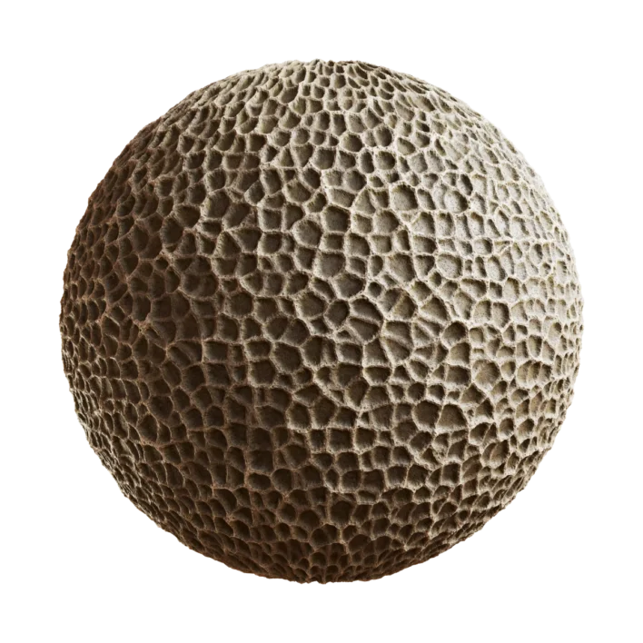 Porous Rock 6899