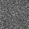 Porous Rock 6899 - Image 6