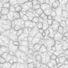 Red Tissue 6860 - Image 3