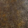 Rotten Flesh 6894 - Image 2