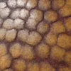 Rotten Tissue 6887 - Image 2