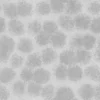 Rotten Tissue 6887 - Image 5