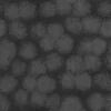 Rotten Tissue 6887 - Image 12