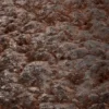 Sandy Black Rock 6916 - Image 2