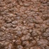 Sandy Cracked Rock 6917 - Image 2