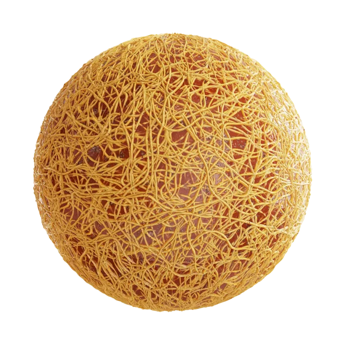 Spaghetti with Sauce 6911