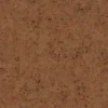 Steak Meat 6872 - Image 4