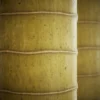 Yellow Bamboo Stem 6879 - Image 2