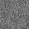 Zombie Skin 6937 - Image 6