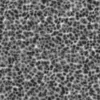 Zombie Skin 6938 - Image 6