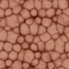 Zombie Tissue 6869 - Image 4