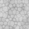 Zombie Tissue 6869 - Image 5