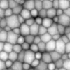 Zombie Tissue 6869 - Image 6