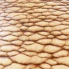 Zombie Tissue 6870 - Image 2