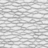 Zombie Tissue 6870 - Image 3