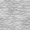 Zombie Tissue 6870 - Image 5
