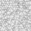 Zombie Tissue 6871 - Image 3