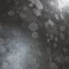 Stained Dark Metal 7087 - Image 2