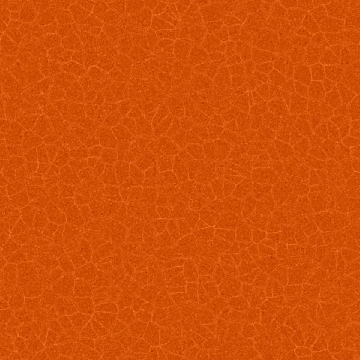 Glass With Orange Liquid 7123 - Image 4