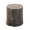 Tree Stump - Image 3