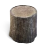 Tree Stump - Image 5