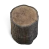 Tree Stump - Image 7