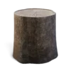Tree Stump - Image 3