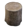 Tree Stump - Image 5