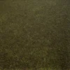 Moss 7157 - Image 2