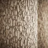 Oak Tree Trunk 7141 - Image 2