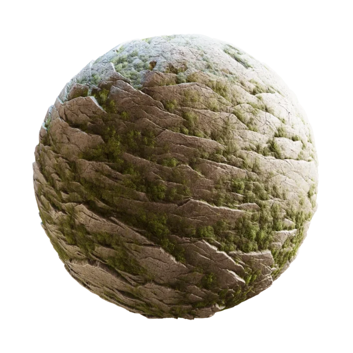 Rough Mossy Rock 7159