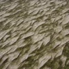 Rough Mossy Rock 7159 - Image 2