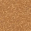 Clay Ceramic 7191 - Image 4