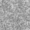 Clay Ceramic 7191 - Image 5