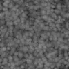 Clay Ceramic 7191 - Image 12