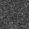 Mossy Grey Stone 7173 - Image 6