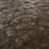 Mossy Rock 7163 - Image 2