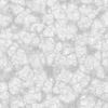 Mossy Rock 7163 - Image 3