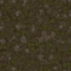 Mossy Rock 7163 - Image 4