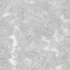 Mud With Grass And Water 7183 - Image 3