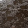 Mud With Water 7170 - Image 2