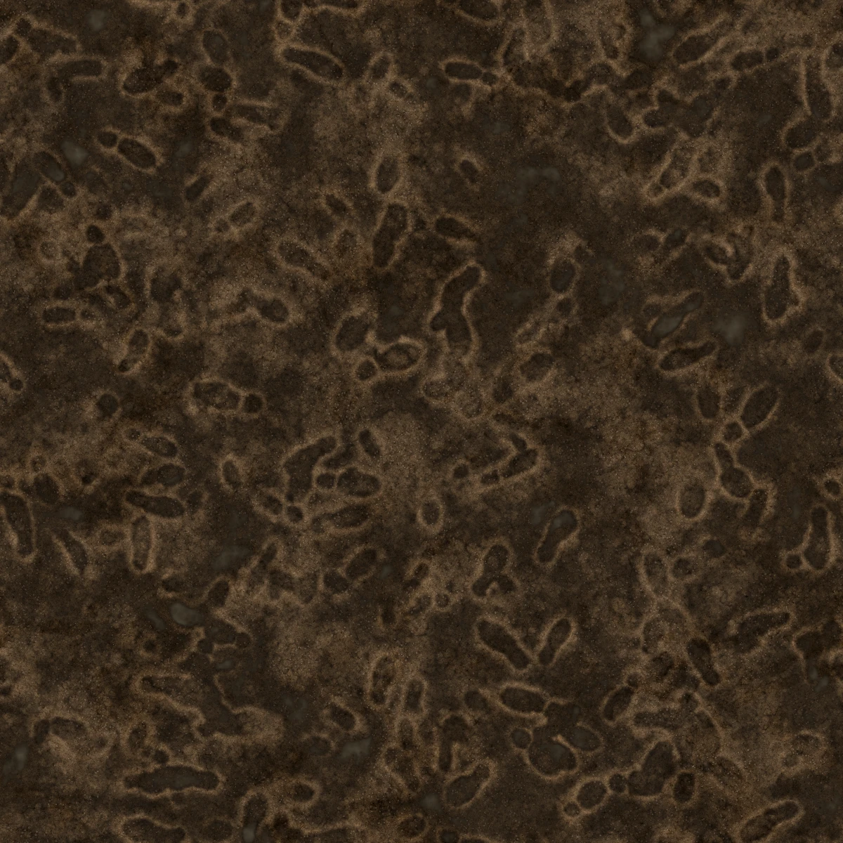 Wet Mud With Footprints 7181 - Image 4