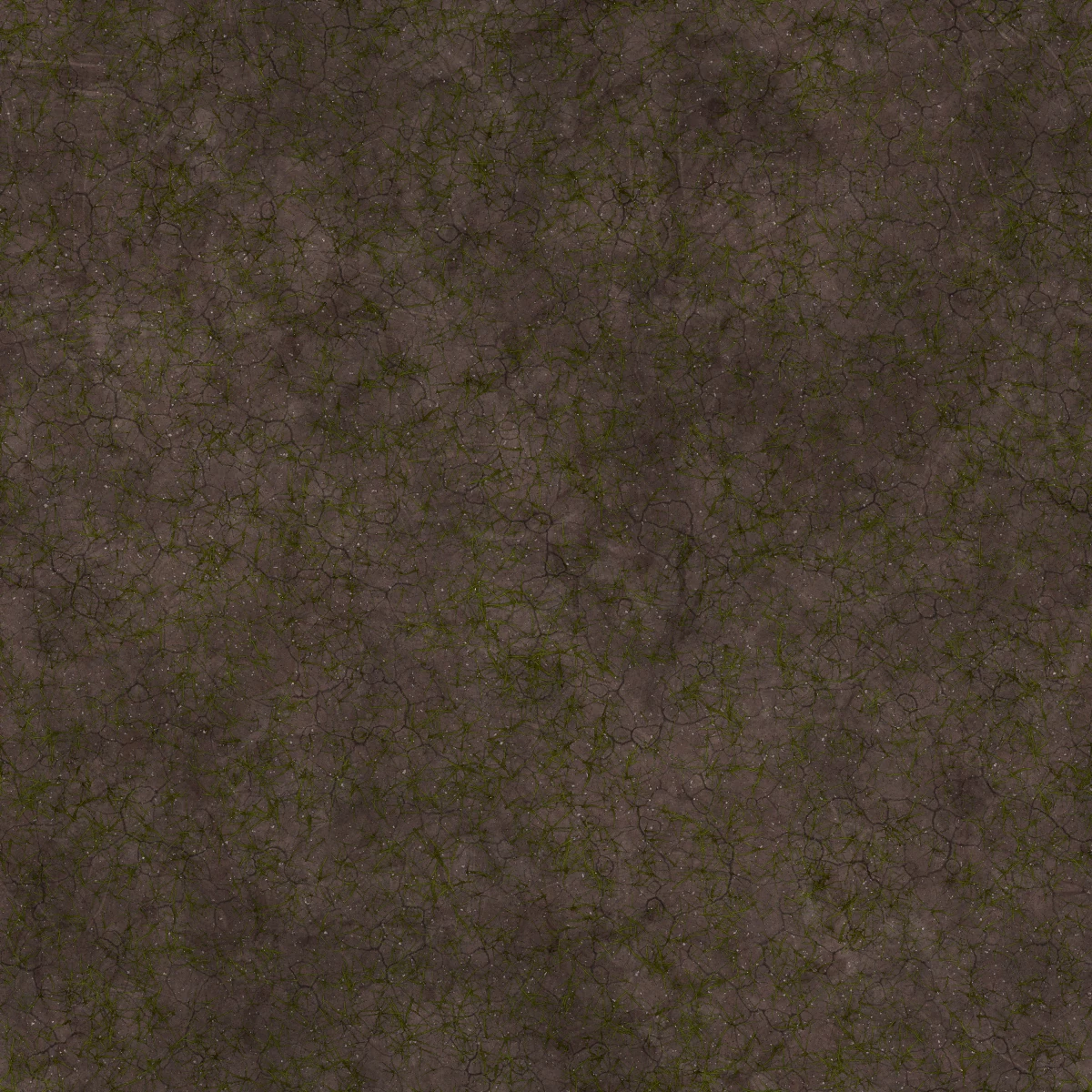 Cracked Ground With Grass 7212 - Image 4