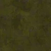 Cracked Ground With Grass 7213 - Image 4