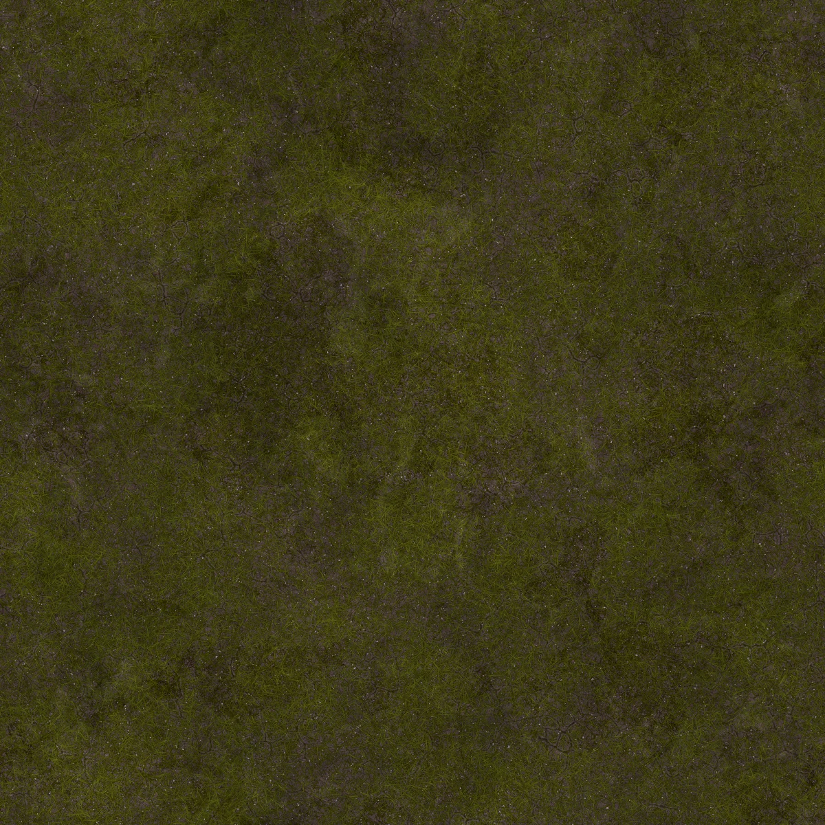 Cracked Ground With Grass 7213 - Image 4